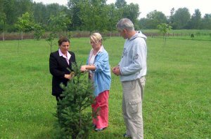 Arboretum od 2004. do 2006. godine