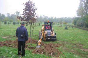 Radovi prouzrokovani prelaskom Tamnavske ulice preko arboretuma