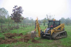 Radovi prouzrokovani prelaskom Tamnavske ulice preko arboretuma