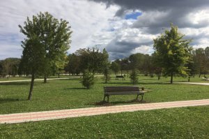 Arboretum 2016