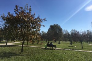 Arboretum 2016