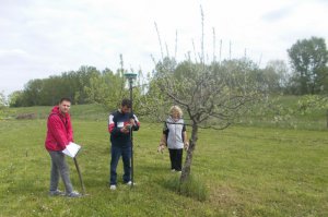 Postavljanje ograde i kapije, april 2016