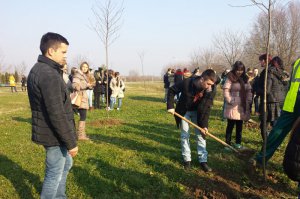 Sadnja biljaka sa učenicima, decembar 2016