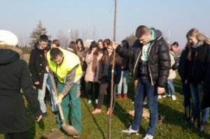 Sadnja biljaka sa učenicima, decembar 2016