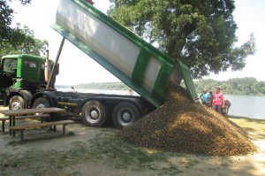 Postavljanje pontona i sređivanje plaže, jun 2016