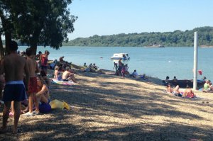 Postavljanje pontona i sređivanje plaže, jun 2016