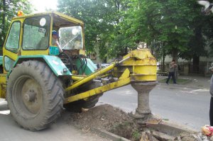 Pošumljavanje, drvoredi, obeležavanje ekoloških datuma