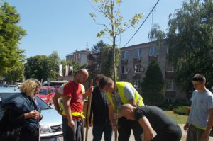 Pošumljavanje, drvoredi, obeležavanje ekoloških datuma