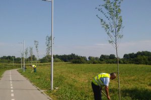 Pošumljavanje, drvoredi, obeležavanje ekoloških datuma