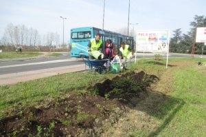 Pošumljavanje, drvoredi, obeležavanje ekoloških datuma