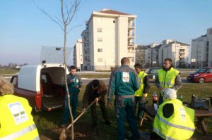 Pošumljavanje, drvoredi, obeležavanje ekoloških datuma