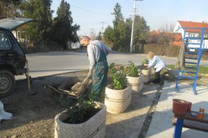 Pošumljavanje, drvoredi, obeležavanje ekoloških datuma