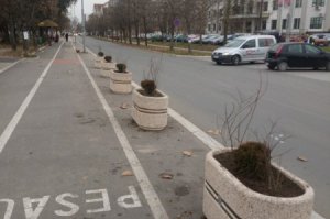 Pošumljavanje, drvoredi, obeležavanje ekoloških datuma