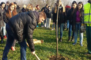 Pošumljavanje, drvoredi, obeležavanje ekoloških datuma