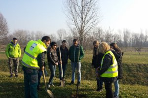 Pošumljavanje, drvoredi, obeležavanje ekoloških datuma