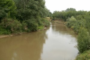 Recentno stanje kvaliteta zemljišta u plavnim zonama reke Kolubare-(Draževac, Poljane)