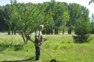 Košenje arboretuma