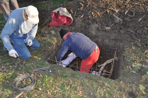 Završeni radovi na sanaciji zaštićenog stabla br. 1 u ZP „Grupa stabala hrasta lužnjaka-Jozića koliba“