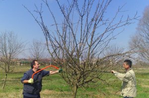 PROLEĆNA REZIDBA  U ARBORETUMU