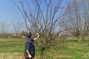 PROLEĆNA REZIDBA  U ARBORETUMU