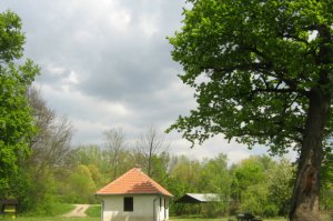 Održavanje travnatih površina u ZP “Obrenovački Zabran“ i „Grupa stabala hrasta lužnjaka kod Jozića kolibe“