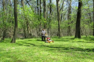 Dan planete Zemlje - 22 april