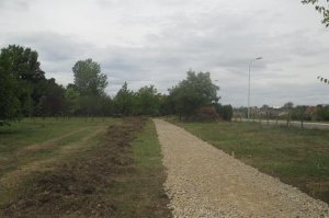 Izrada pešačkih staza u arboretumu