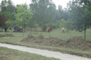 Izrada pešačkih staza u arboretumu