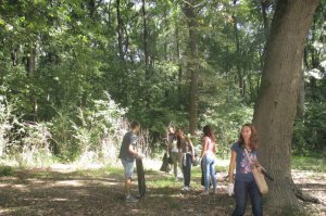 Međunarodni Dan zaštite ozonskog omotača –  16. septembar