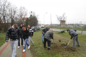 Obeležen Međunarodni dan planina 