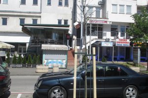 DRVORED U ULICI VUKA KARADŽIĆA