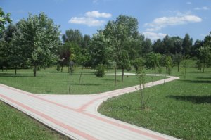 Arboretum