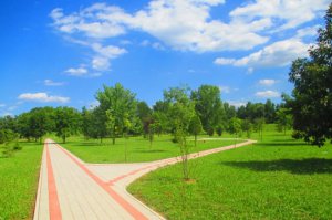 Arboretum