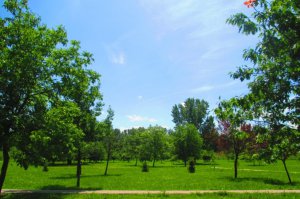 Arboretum