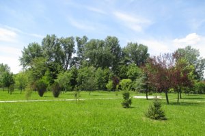 Arboretum