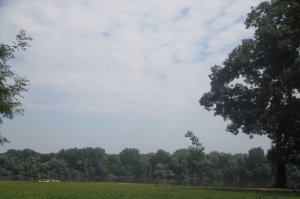 Novi sadržaji u forlandu ZP „Obrenovački Zabran“