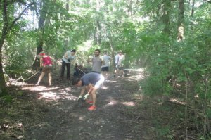 Međunarodni volonterski kamp u ZP „Obrenovački Zabran“