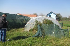 Analiza biljnog materijala na teritoriji GO Obrenovac 