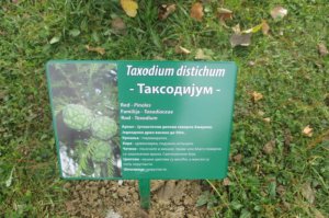 POSTAVLJENE TABLE ZA OPIS BILJNIH VRSTA U ARBORETUMU