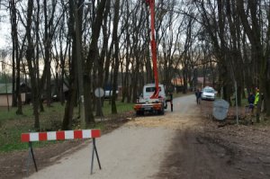Biološko tehničke mere zaštite i nege stabala u ZP “Obrenovački Zabran“