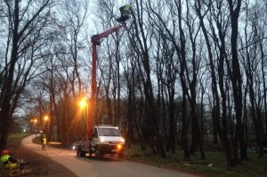 Biološko tehničke mere zaštite i nege stabala u ZP “Obrenovački Zabran“