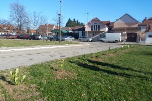 Obeležavanje Dana planina 11. decembar 