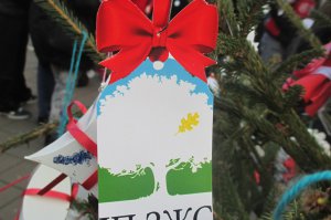 Obrenovačka deca okitila jelke na Trgu