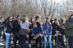 Zajednička sadnja u šumi Duboko
