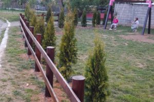 Sadnja po mesnim zajednicama u cilјu obeležavanja bitnih ekoloških dana 