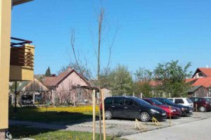 Ozelenjavanje naselja Senjak