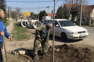 Podizanje i obnova drvoreda u Ulici Aleksandra Ace Simovića