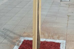 Drvored u Tamnavskoj ulici