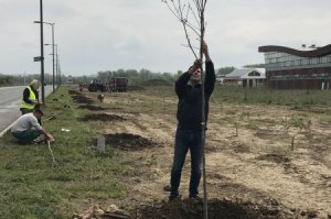 Zaštitni pojas oko banjskog kompleksa i bazena u Obrenovcu