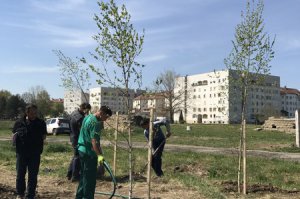 Zaštitni pojas oko banjskog kompleksa i bazena u Obrenovcu